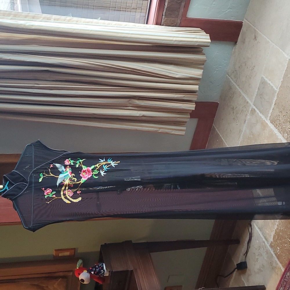 Sheer black embroidered long dress or nightwear